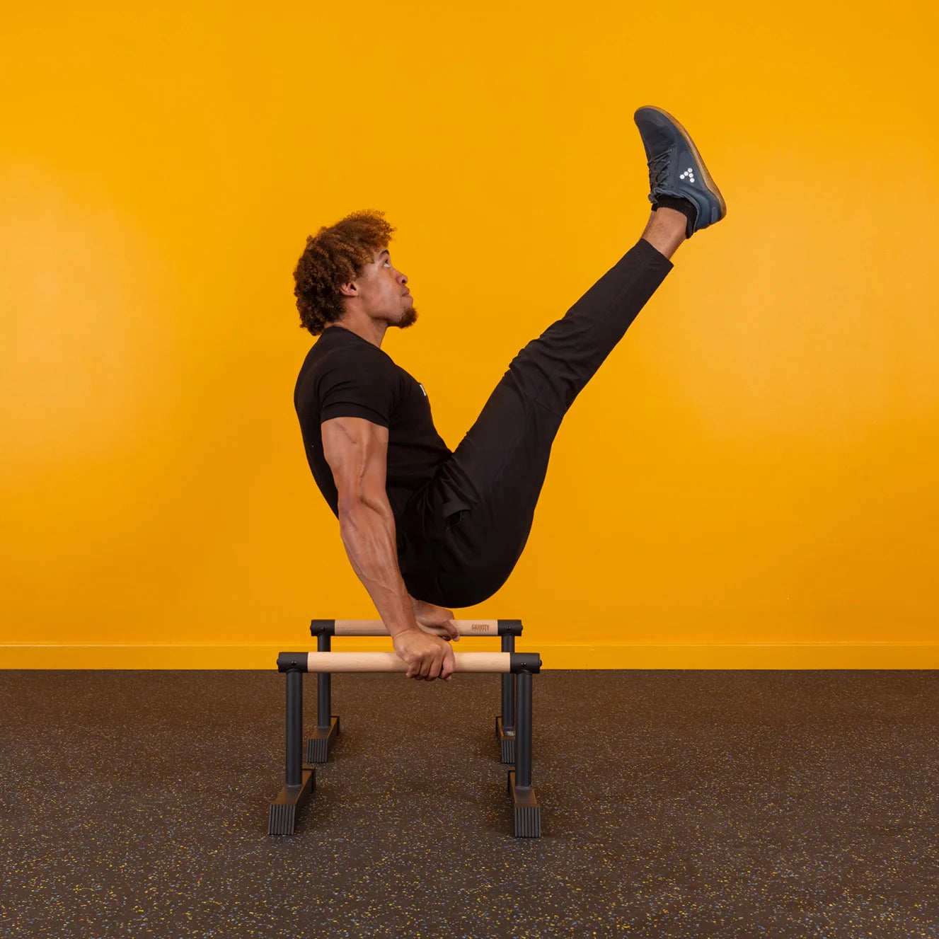 Pro Hybrid Parallettes