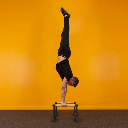 Pro Hybrid Parallettes